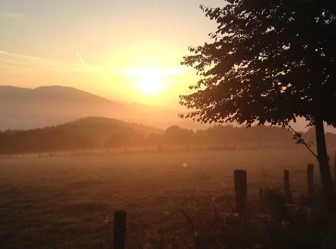 An Den Bergwiesen Appartamento *